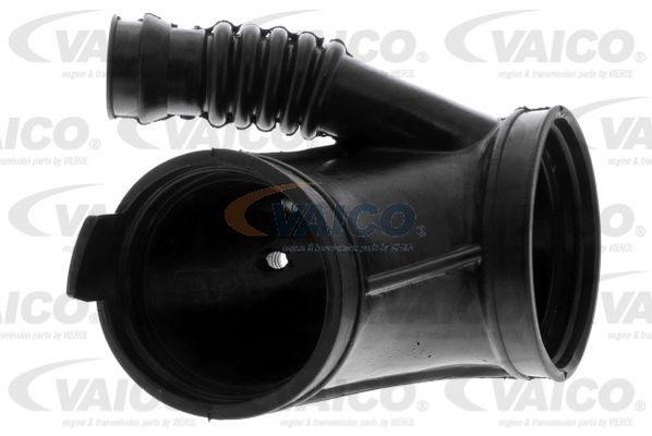VAICO V20-1631 Engine Compartments 